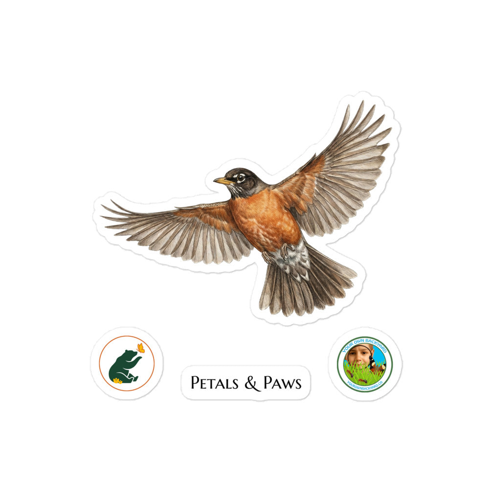 Product mockup of 4" wide American Robin kiss-cut sticker. This sheet features realistic, illustrated American Robin, along with Petals & Paws and Your Own Backyard logo stickers.