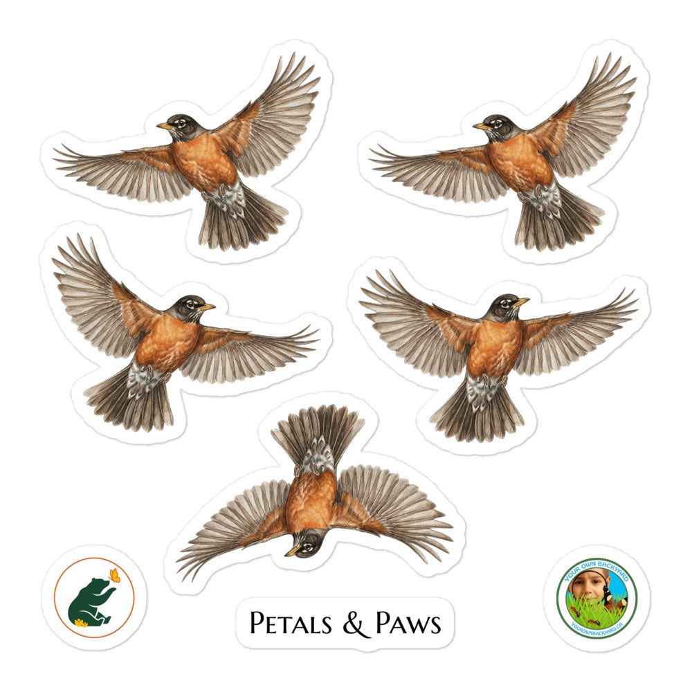 Product mockup of a sheet of five 2.5" wide American Robin kiss-cut stickers. This sheet features realistic, illustrated American Robin, along with Petals & Paws and Your Own Backyard logo stickers.