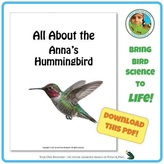 Product image for downloadable PDF, 'All About Birds - the Anna's Hummingbird', an elementary-level unit study product by Your Own Backyard | Petals & Paws.
