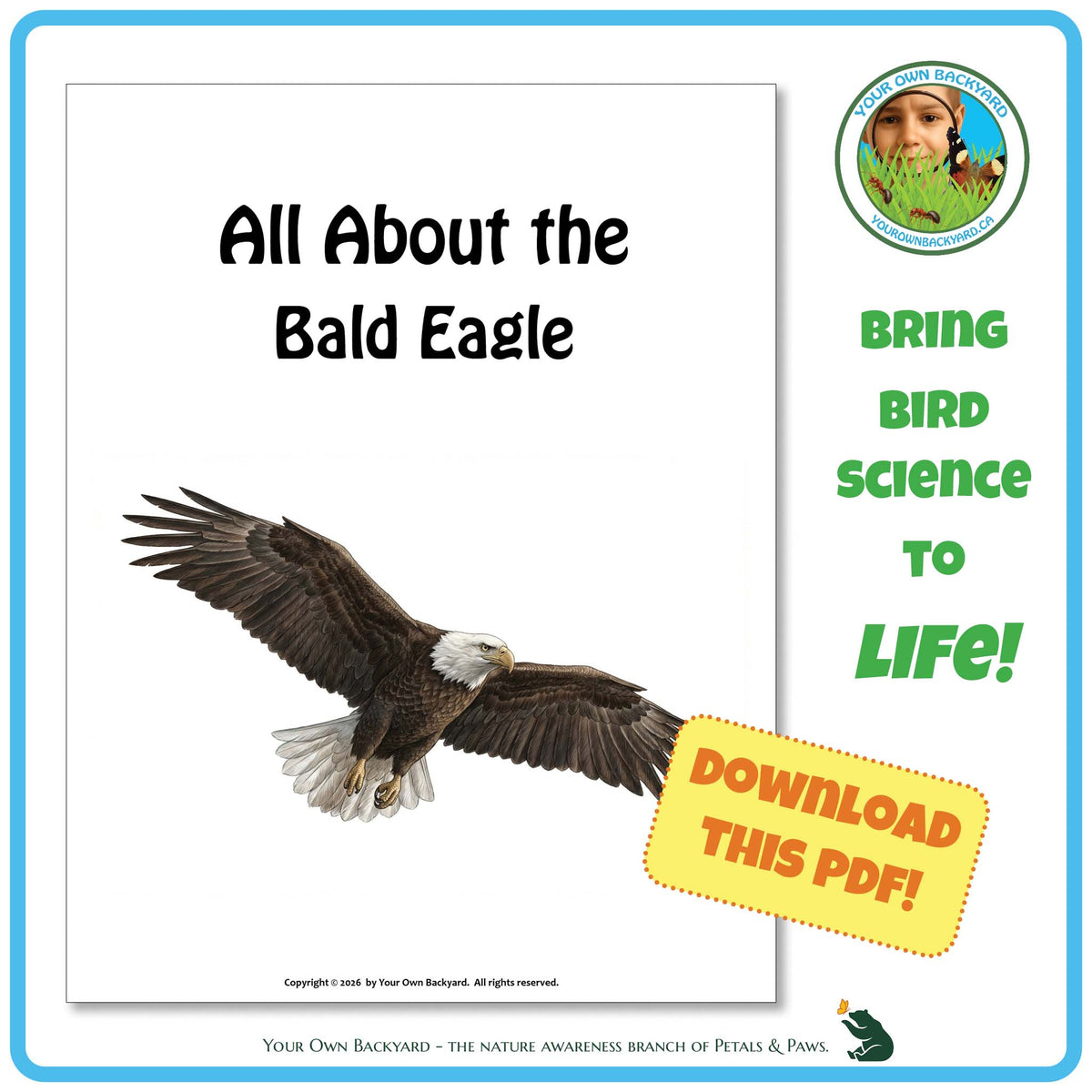 Product image for downloadable PDF, 'All About Birds - the Bald Eagle', an elementary-level unit study product by Your Own Backyard | Petals & Paws.