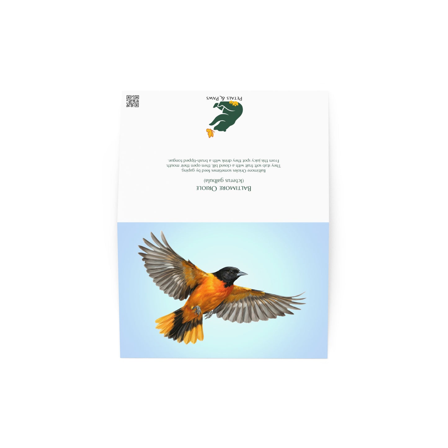Baltimore Oriole Greeting Card