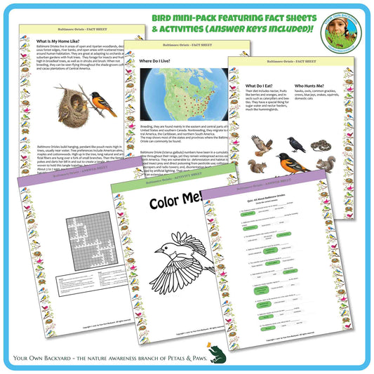 Internal pages of, 'All About Birds - the Baltimore Oriole' downloadable PDF product, an elementary-level unit by Your Own Backyard | Petals & Paws. Pages include natural history fact sheets and various printable worksheets.
