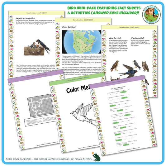 Internal pages of, 'All About Birds - the Barn Swallow' downloadable PDF product, an elementary-level unit by Your Own Backyard | Petals & Paws. Pages include natural history fact sheets and various printable worksheets.