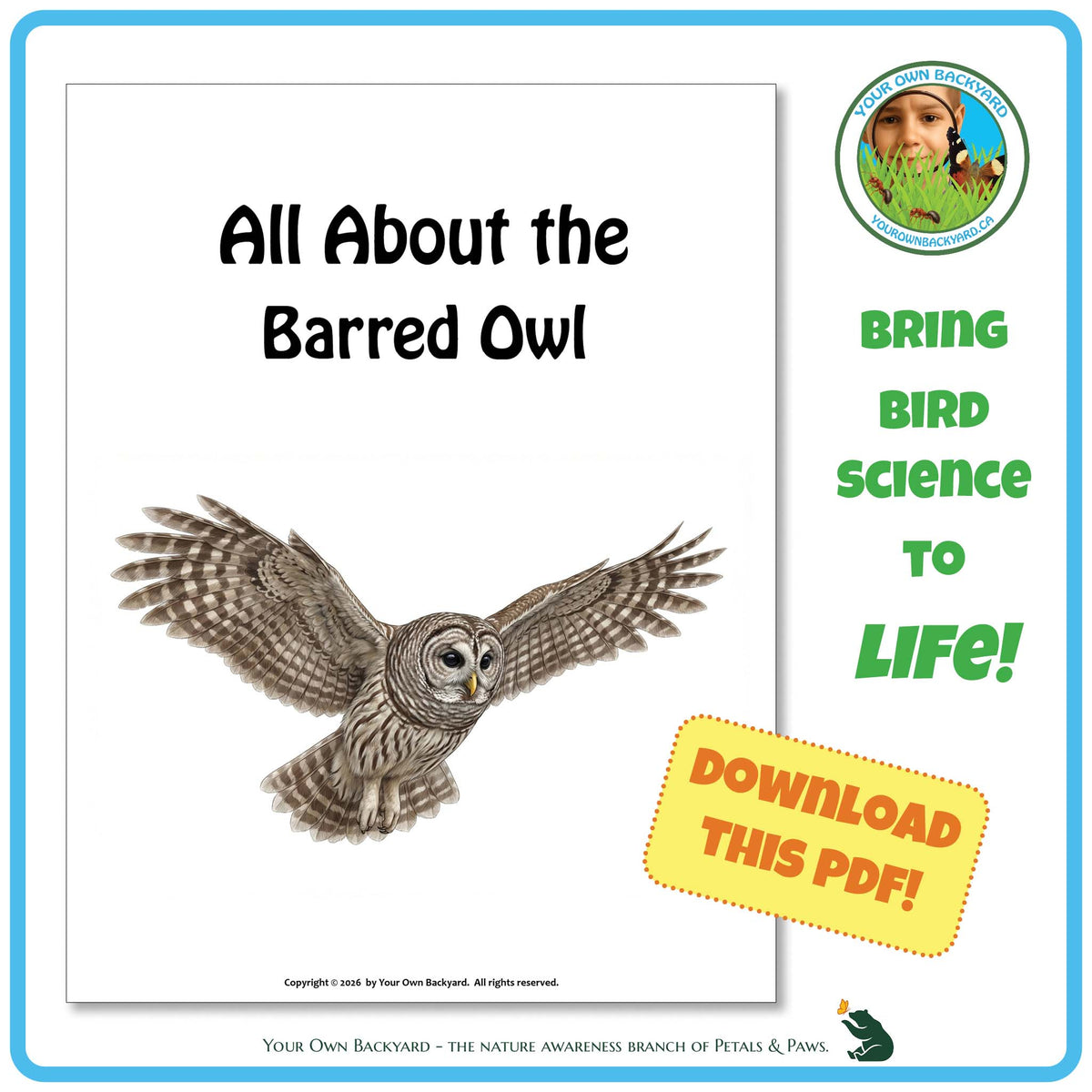 Product image for downloadable PDF, 'All About Birds - the Barred Owl', an elementary-level unit study product by Your Own Backyard | Petals & Paws.

