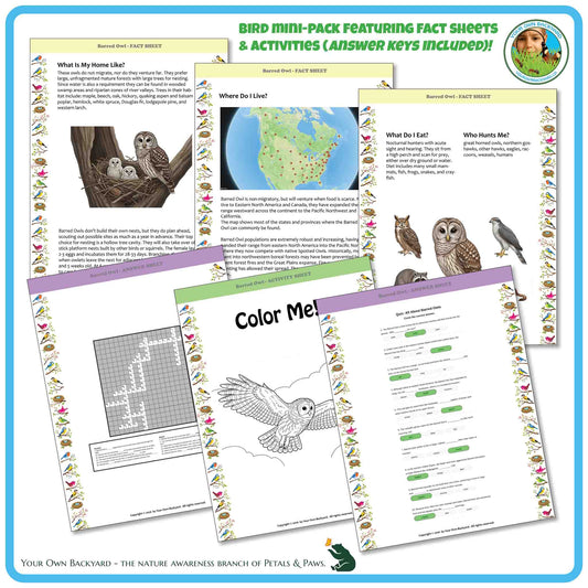 Internal pages of, 'All About Birds - the Barred Owl' downloadable PDF product, an elementary-level unit by Your Own Backyard | Petals & Paws. Pages include natural history fact sheets and various printable worksheets.

