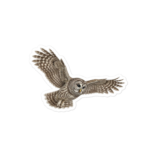 Product mockup of realistic, illustrated Barred Owl kiss-cut sticker.