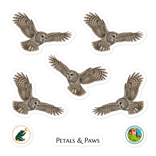 Product mockup of a sheet of five 2.5" wide Barred Owl kiss-cut stickers. This sheet features realistic, illustrated Barred Owl, along with Petals & Paws and Your Own Backyard logo stickers.