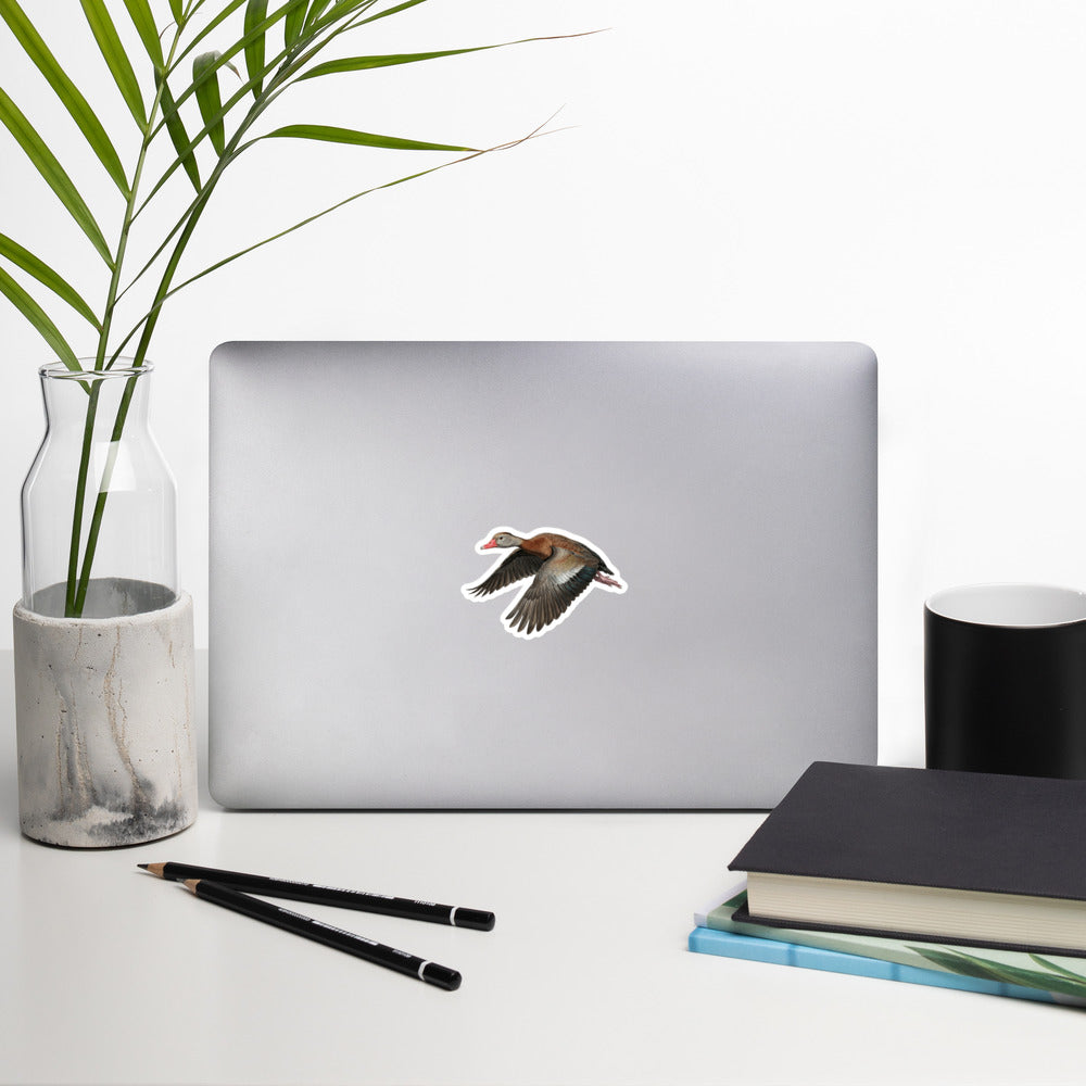 Black-bellied Whistling Duck Stickers