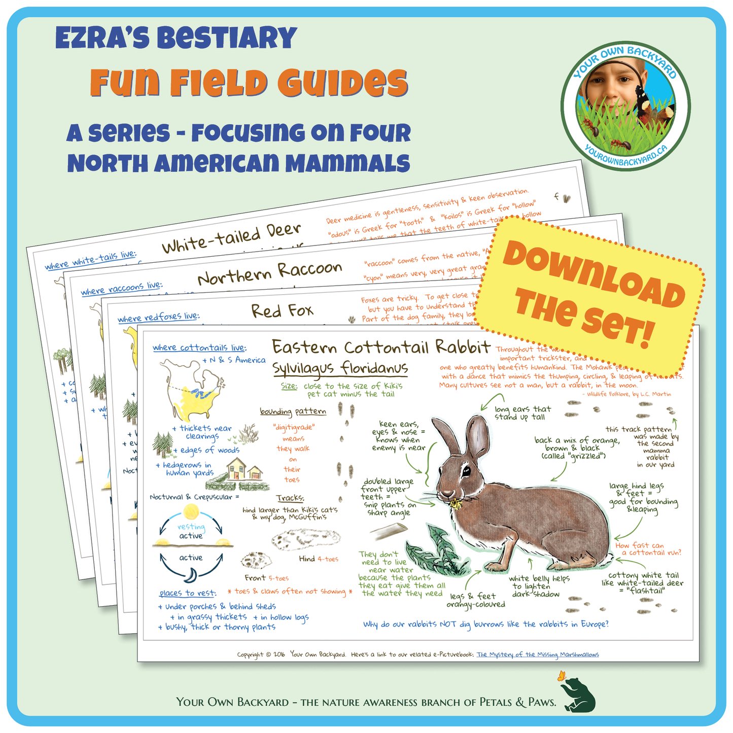 Ezra's Bestiary Field Guides Bundle
