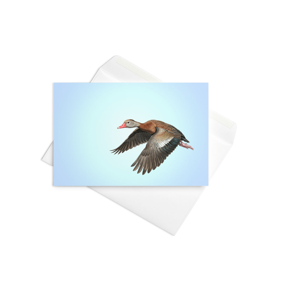 Product mockup of the Black-bellied Whistling Duck Greeting Card, shown with the complimentary self-sealing envelope.