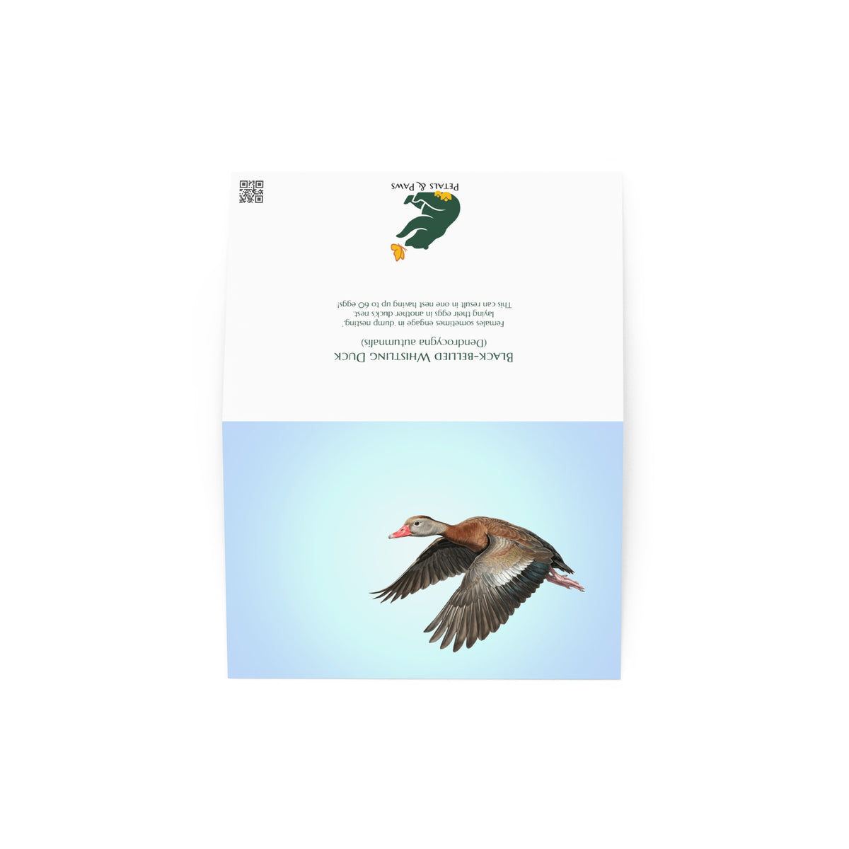 The Black-bellied Whistling Duck Greeting Card, open, showing front and back. The front features a realistic duck flying against a clear blue sky. The back features interesting fact and Petals & Paws logo.