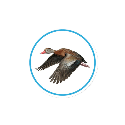 Product mockup of Black-bellied Whistling Duck Circular Magnet, a 4" die-cut magnet featuring a realistic duck within a blue circle.