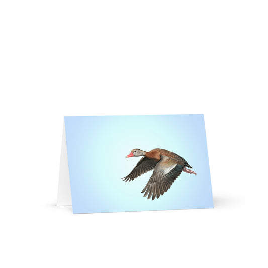 Product mockup of the Black-bellied Whistling Duck Greeting Card, standing open, with a realistic flying duck against a clear blue sky.