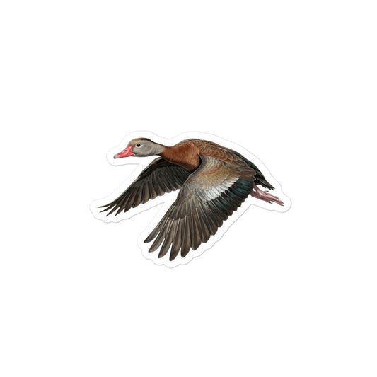 Product mockup of a realistic, illustrated Black-bellied Whistling Duck kiss-cut sticker.
