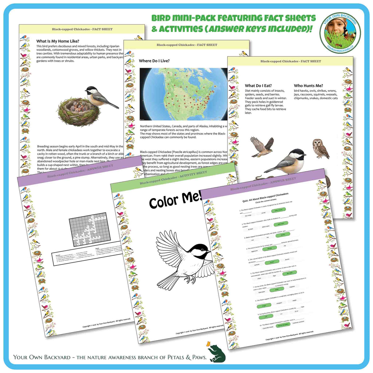 Internal pages of, 'All About Birds - the Black-capped Chickadee' downloadable PDF product, an elementary-level unit by Your Own Backyard | Petals & Paws. Pages include natural history fact sheets and various printable worksheets.
