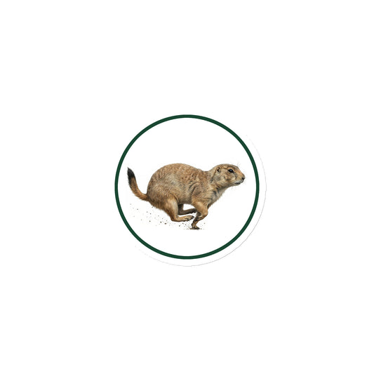 Product mockup of Black-tailed Prairie Dog Circular Magnet, a 3" die-cut magnet featuring a realistic prairie dog within a green circle.