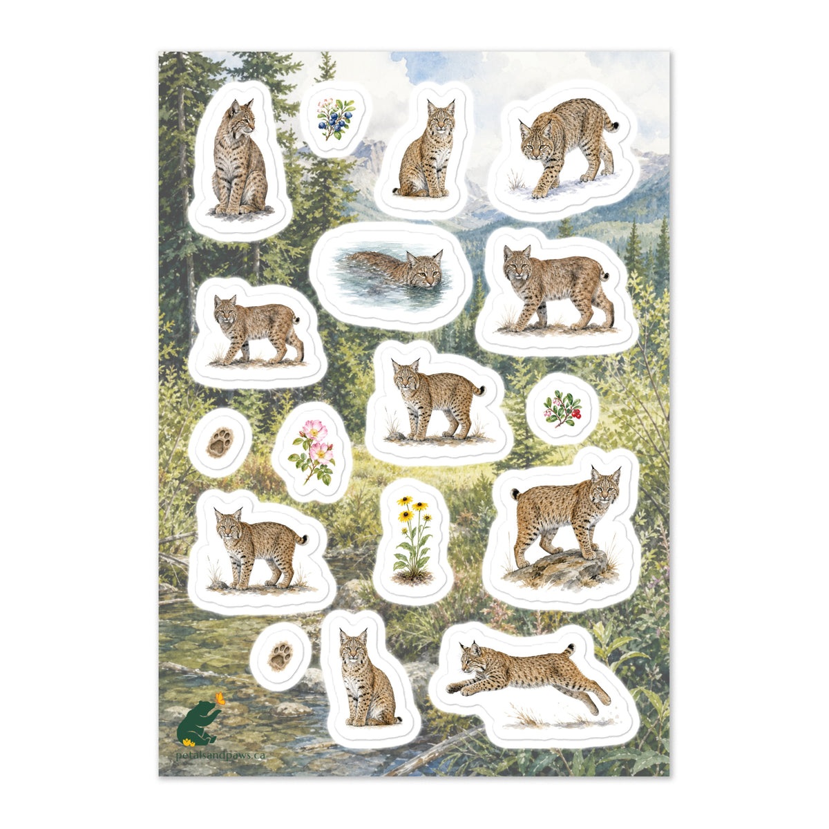A glossy wildlife sticker sheet showing bobcats in various still and motion postures, set against a scene in the foothills of the Rocky Mountains.  Ideal for travel journals, envelopes, and outdoor adventure scrapbooks.
