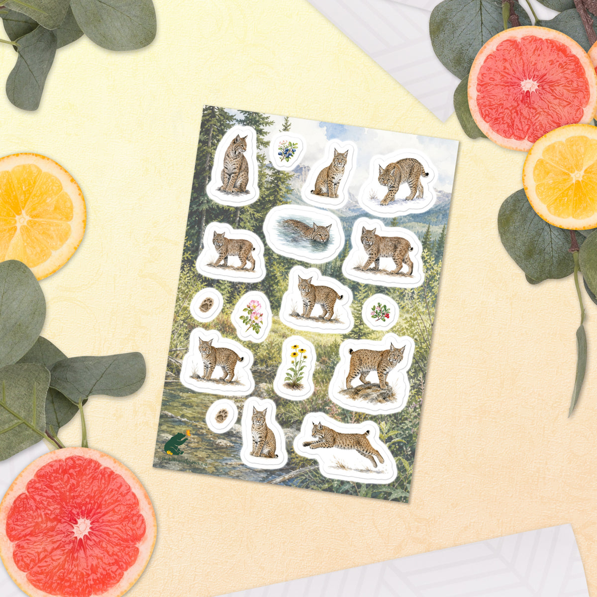A sheet of kiss-cut stickers featuring Rocky Mountain foothills landscape and bobcat illustrations, placed next to citrus slices on a warm-colored background.