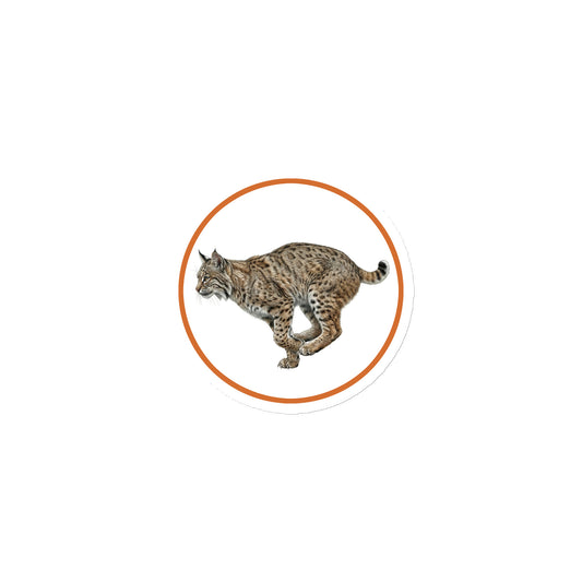 Product mockup of Bobcat Circular Magnet, a 3" die-cut magnet featuring a realistic bobcat within a orange circle.