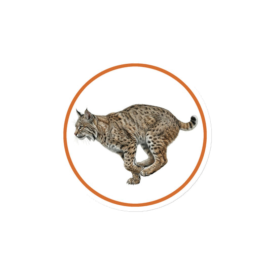 Product mockup of Bobcat Circular Magnet, a 4" die-cut magnet featuring a realistic bobcat within a orange circle.