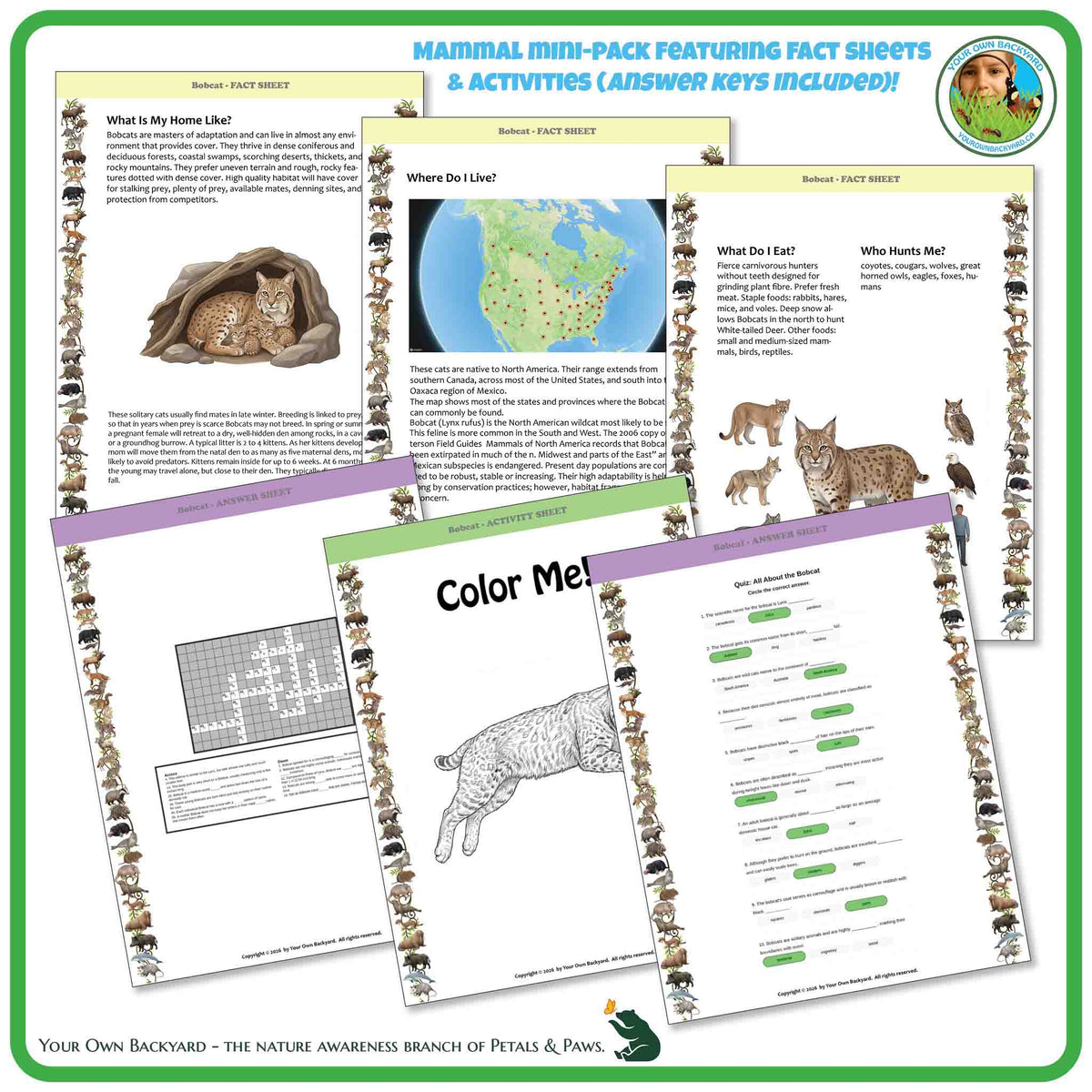 Internal pages of, 'All About Mammals - the Bobcat' downloadable PDF product, an elementary-level unit by Your Own Backyard | Petals & Paws. Pages include natural history fact sheets and various printable worksheets.