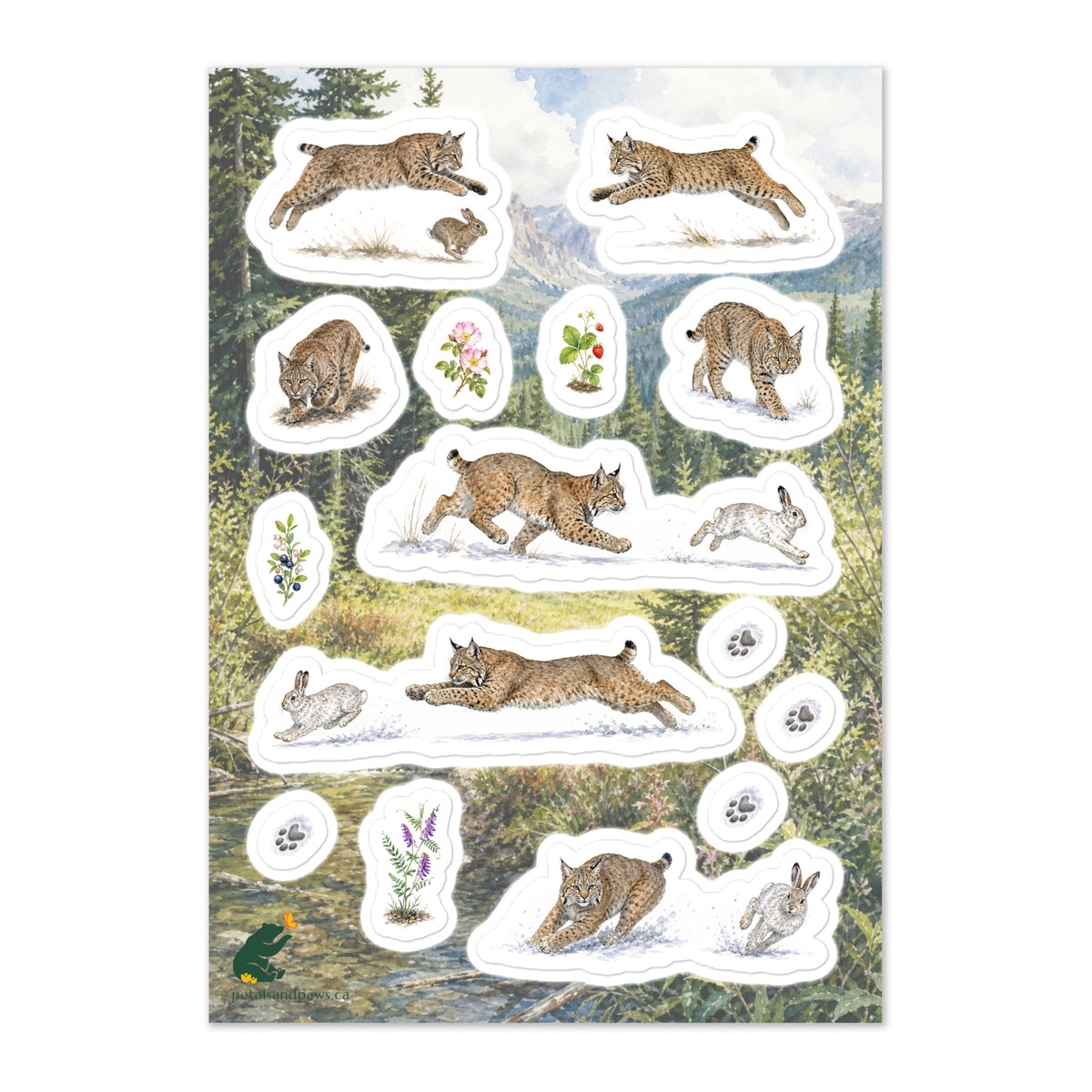 A glossy wildlife sticker sheet showing bobcats chasing prey, set against a scene in the foothills of the Rocky Mountains.  Ideal for travel journals, envelopes, and outdoor adventure scrapbooks.