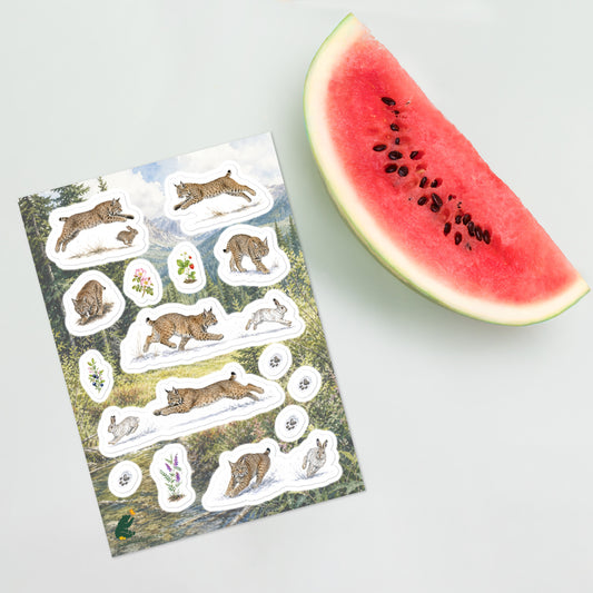 A sheet of kiss-cut stickers featuring illustrated bobcats hunting, set against a scene in the foothills of the Rocky Mountains, and placed next to a slice of watermelon.  