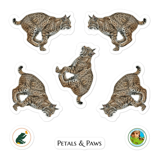 Product mockup of a sheet of five 2.5" wide Bobcat kiss-cut stickers. This sheet features five realistic, illustrated bobcat stickers, along with Petals & Paws and Your Own Backyard logo stickers.
