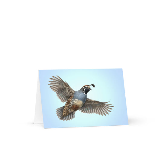 Product mockup of the California Quail Greeting Card, standing open, with a realistic flying quail against a clear blue sky.