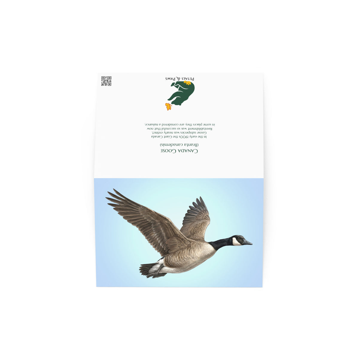 The Canada Goose Greeting Card, open, showing front and back. The front features a realistic goose flying against a clear blue sky. The back features interesting fact and Petals & Paws logo.