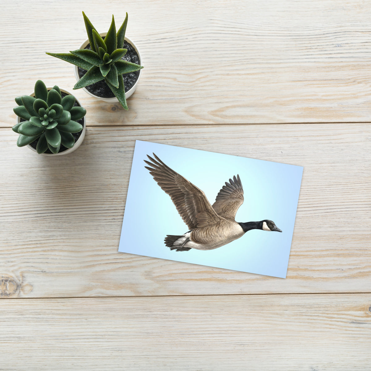 Product mockup of the Canada Goose Greeting Card, shown with two plants on a beige surface.