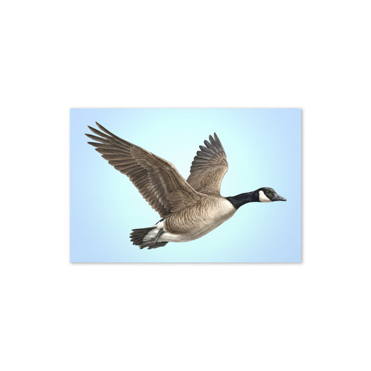 Product mockup flat-lay of Canada Goose Greeting Card, with a realistic flying goose against a clear blue sky.