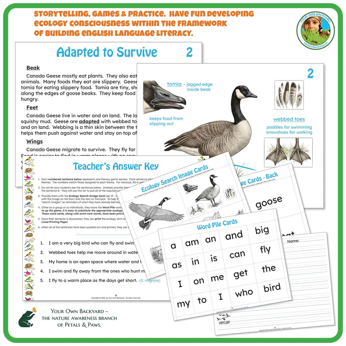 At the top there is product information, with Your Own Backyard logo in the upper right corner. Below this, select pages from this one-week study unit to demonstrate the variety of extent of educational content. "Your Own Backyard - The Nature Awareness Branch of Petals & Paws" runs along the bottom.