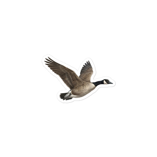 Product mockup of realistic, illustrated Canada Goose kiss-cut sticker. 