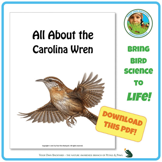 Product image for downloadable PDF, 'All About Birds - the Carolina Wren', an elementary-level unit study product by Your Own Backyard | Petals & Paws.
