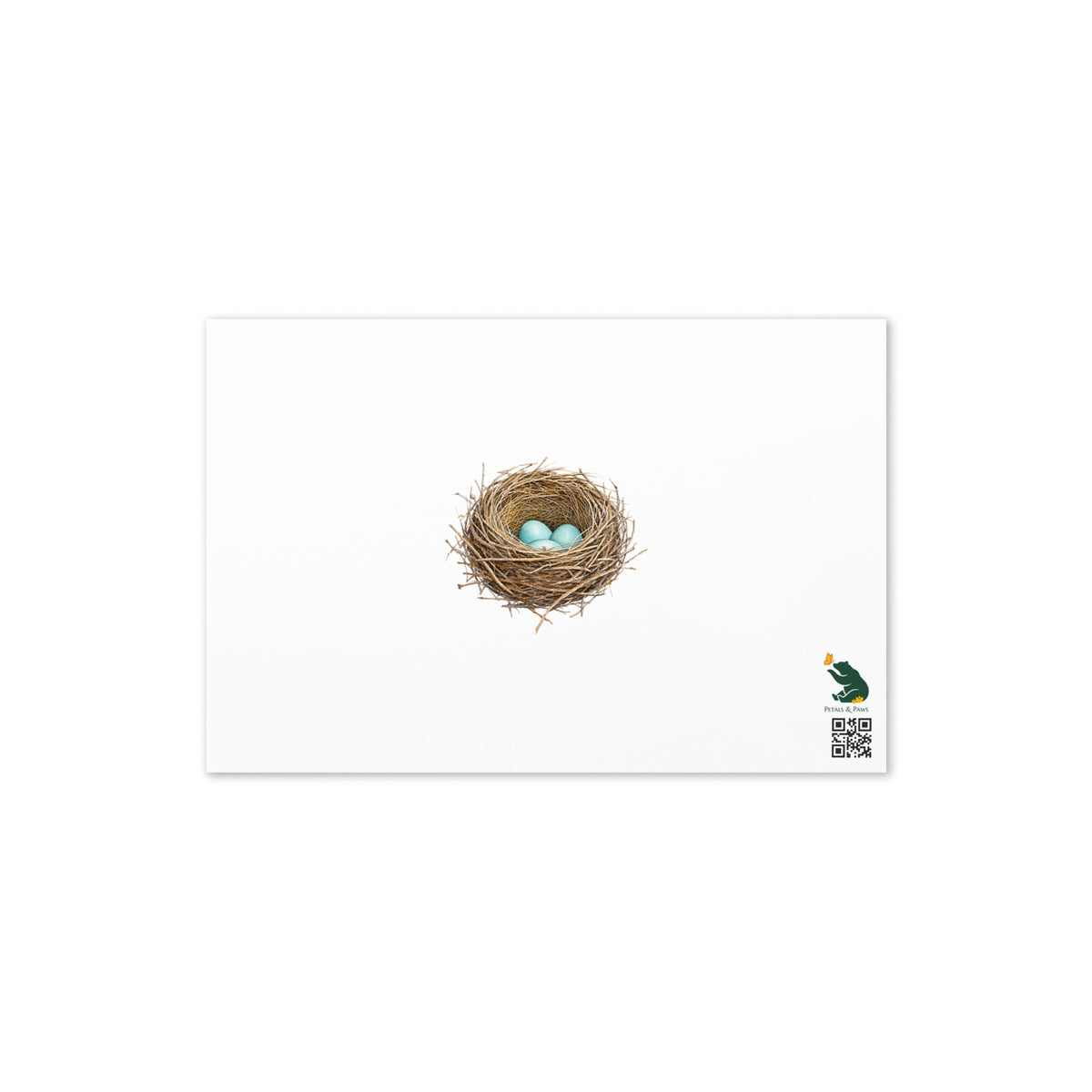 Product mockup, the back of Cheerily Robin Greeting Card, featuring a watercolor robin nest and three robin-blue eggs.  Petals & Paws logo is in the bottom right corner.