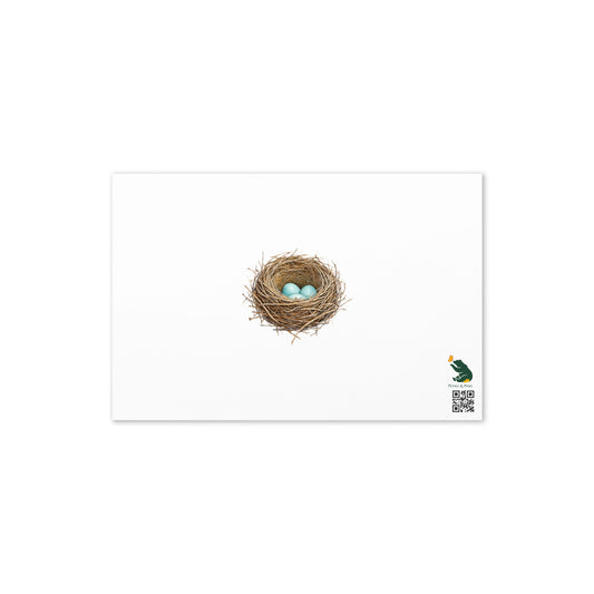 Product mockup, the back of Cheerily Robin Greeting Card, featuring a watercolor robin nest and three robin-blue eggs.  Petals & Paws logo is in the bottom right corner.