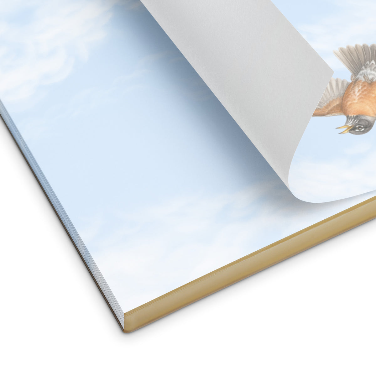 Cheerily Robin Notepad product image, showing tear-away binding and a turned page.