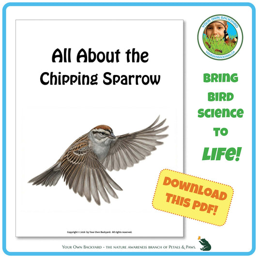 Product image for downloadable PDF, 'All About Birds - the Chipping Sparrow', an elementary-level unit study product by Your Own Backyard | Petals & Paws.
