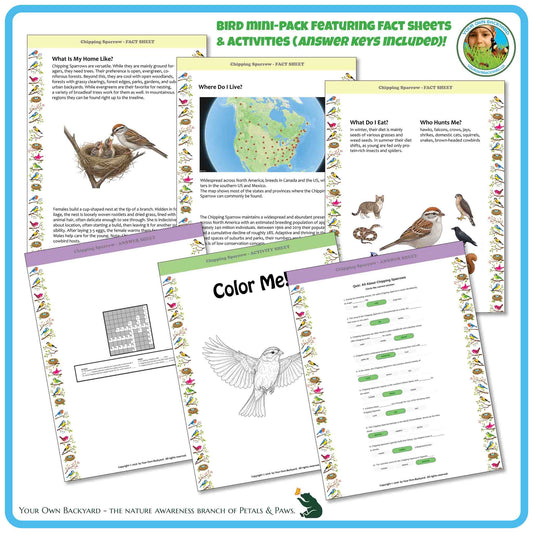 Internal pages of, 'All About Birds - the Chipping Sparrow' downloadable PDF product, an elementary-level unit by Your Own Backyard | Petals & Paws. Pages include natural history fact sheets and various printable worksheets.