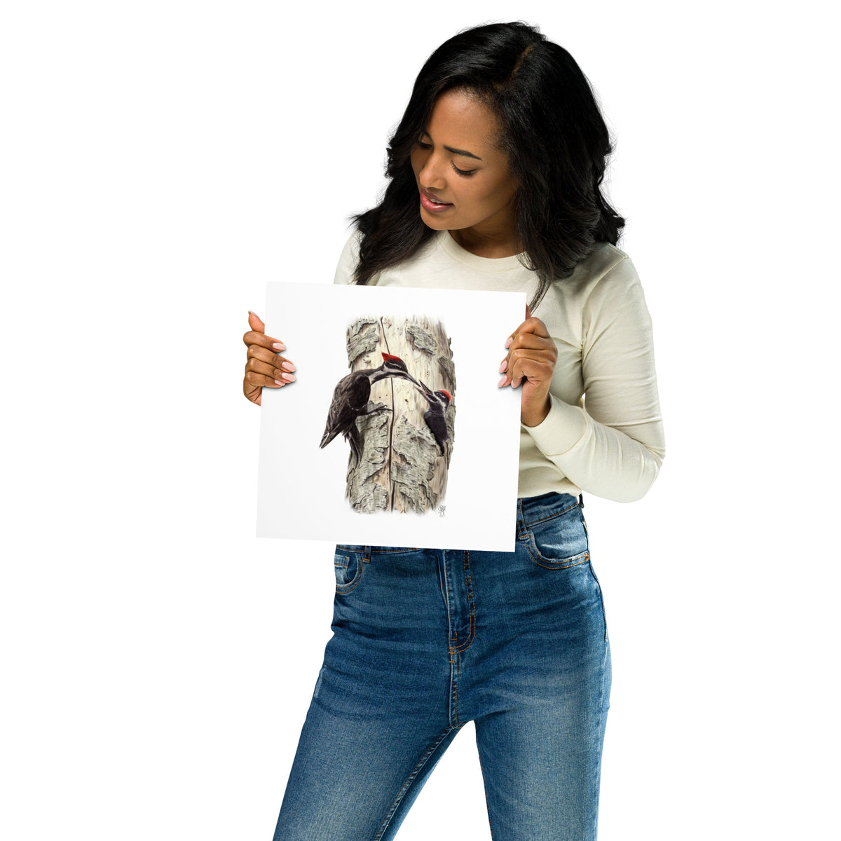 Person holding 10x10 inch museum-quality print of Coaxing Courage illustration of Pileated Woodpeckers to show relative size. Illustrated by Suzanne Matheson, 2017.