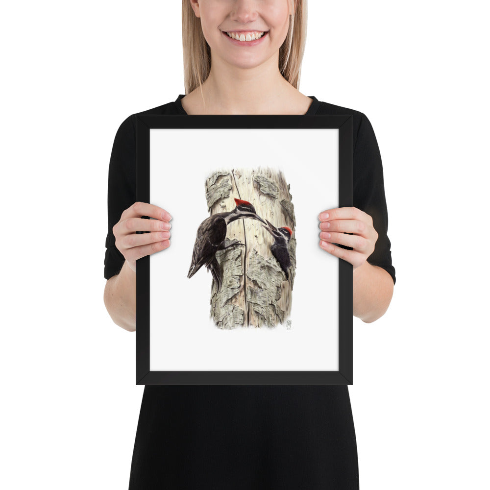 Person holding 11x14 inch black framed print of Coaxing Courage illustration of Pileated Woodpeckers to show relative size. Illustrated by Suzanne Matheson, 2017.