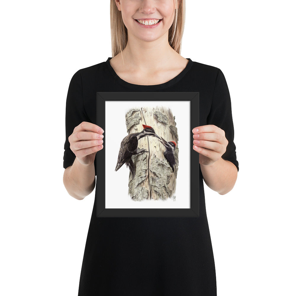 Person holding 8x10 inch black framed print of Coaxing Courage illustration of Pileated Woodpeckers to show relative size. Illustrated by Suzanne Matheson, 2017.