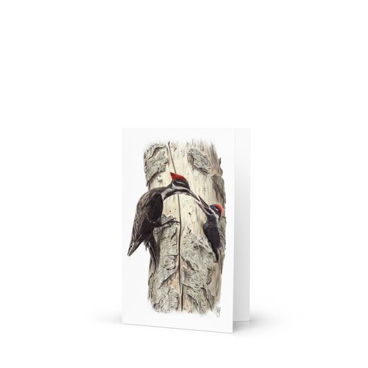 Product mockup of 4x6 card, Coaxing Courage, standing open. Depicts a mother Pileated Woodpecker using food to encourage her young out of the nest.  Illustrated by Suzanne Matheson, 2017.