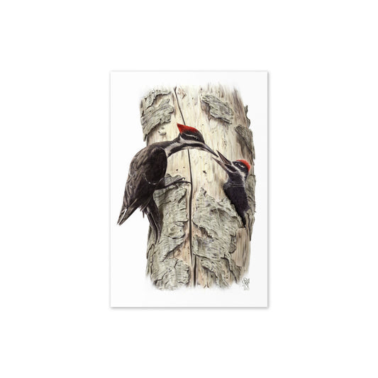 Product mockup flat-lay of 4x6 card, Coaxing Courage. Depicts a mother Pileated Woodpecker using food to encourage her young out of the nest.  Illustrated by Suzanne Matheson, 2017.