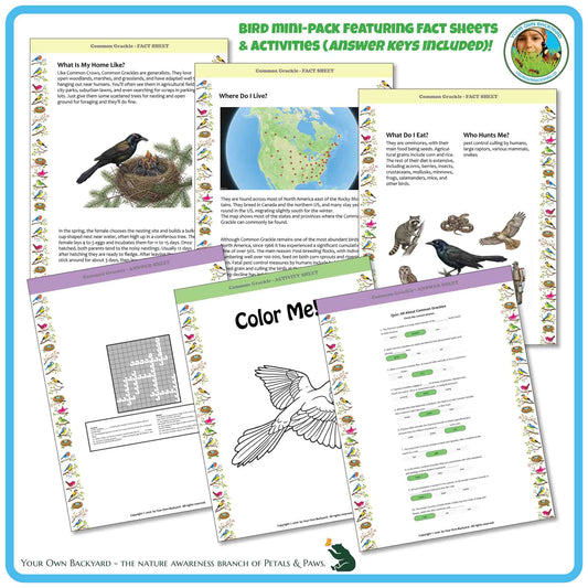 Internal pages of, 'All About Birds - the Common Grackle' downloadable PDF product, an elementary-level unit by Your Own Backyard | Petals & Paws. Pages include natural history fact sheets and various printable worksheets.
