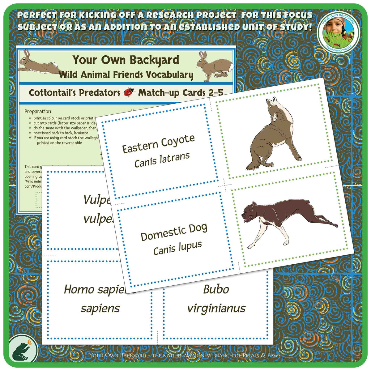 Image of the page contents for bonus concentration card game, Cottontail Match-up Cards 2-5. Card design is clearly represented. Background image is the pattern designed for the back of these cards.