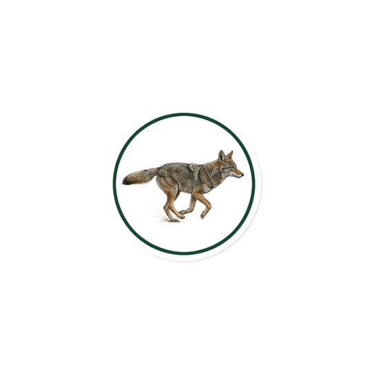 Product mockup of Coyote Circular Magnet, a 3" die-cut magnet featuring a realistic coyote within a green circle.