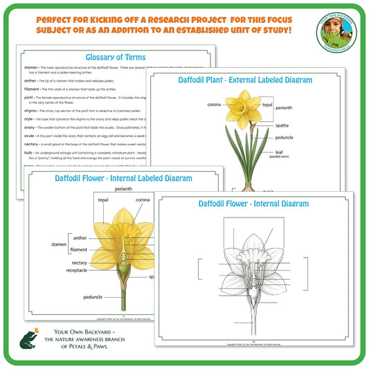 "Perfect for" text at the top to help teachers with how-to-use.  Your Own Backyard logo in the top right corner. Sample pages of glossary and label key and non-labeled diagrams. "Your Own Backyard - The Nature Awareness Branch of Petals & Paws" in the bottom left corner.