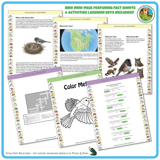 Internal pages of, 'All About Birds - the Dark-eyed Junco' downloadable PDF product, an elementary-level unit by Your Own Backyard | Petals & Paws. Pages include natural history fact sheets and various printable worksheets.